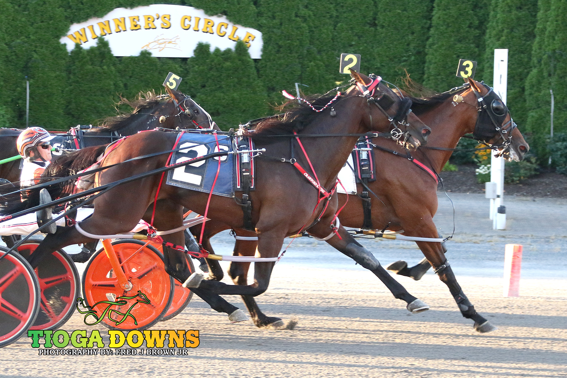 Elegant A wins home stretch battle