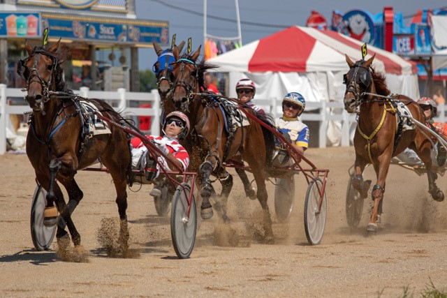 OHHA to Live Stream from Richwood and Van Wert Fairs