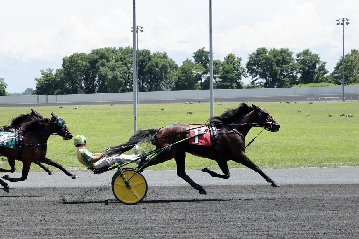 Greenshoe sires both $52,000 PA Stakes winners