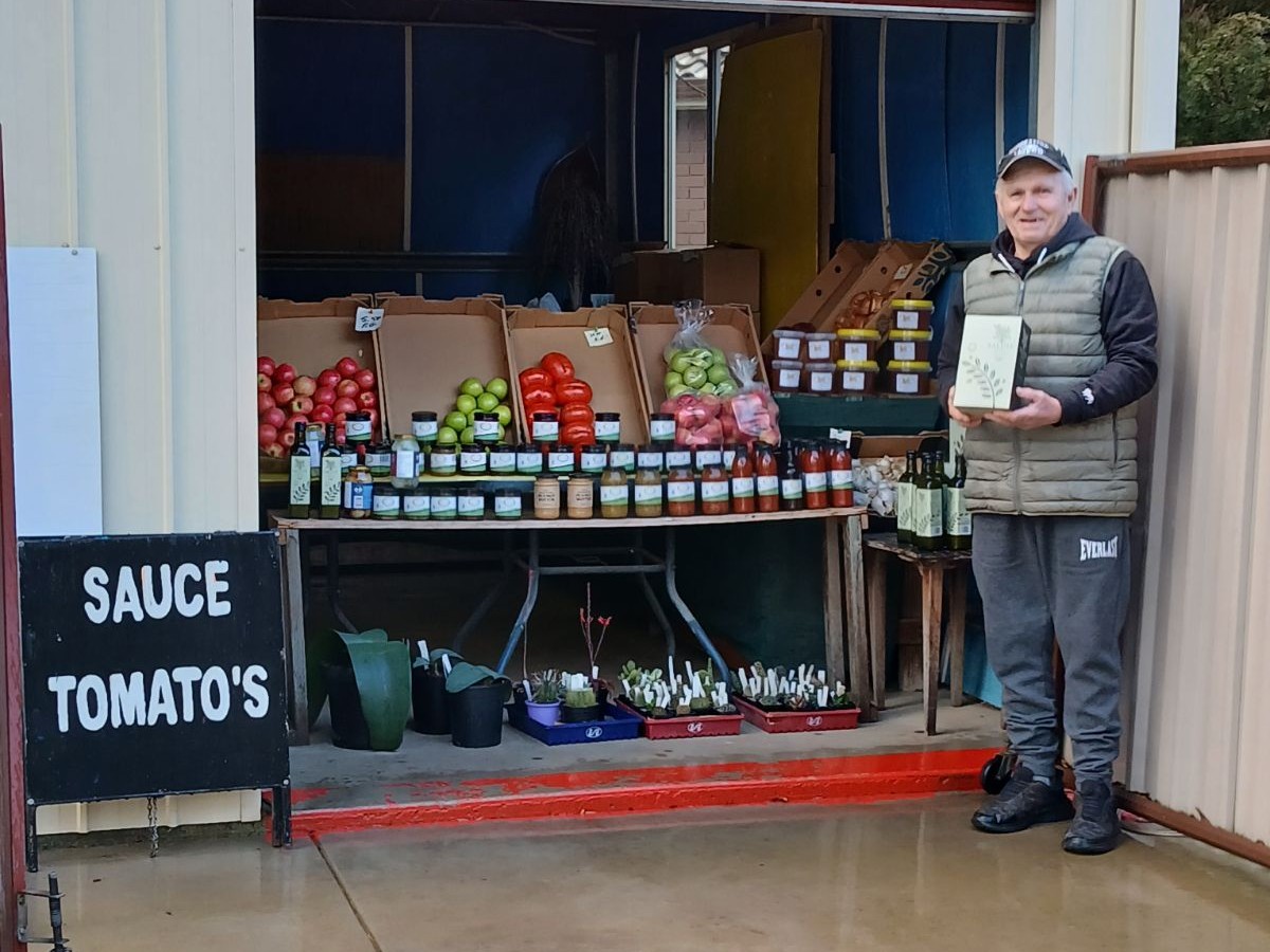80yo trainer and Madam Reactor prove the winning recipe