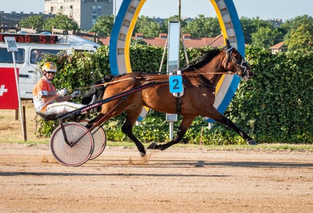 Freya T Boko wins 111th Hungarian Trotting Derby