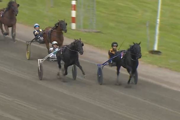 Gio Cash wins STL Gold