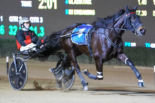 Favourites win New South Wales Two and Three Year Old Trot Finals