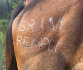 A cry for compassion and help