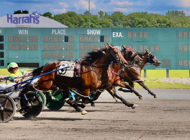 Trump The Warrior tops $12,000 Trot