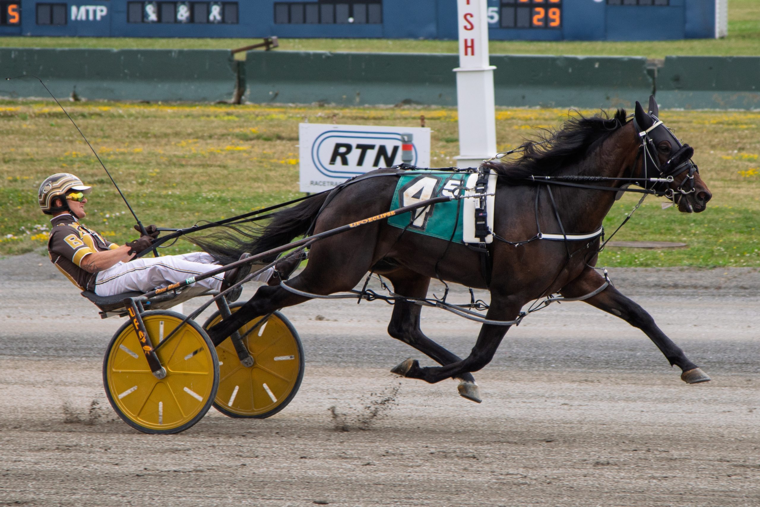 Hunt Off The Press dominates 2YO colt and gelding pacers