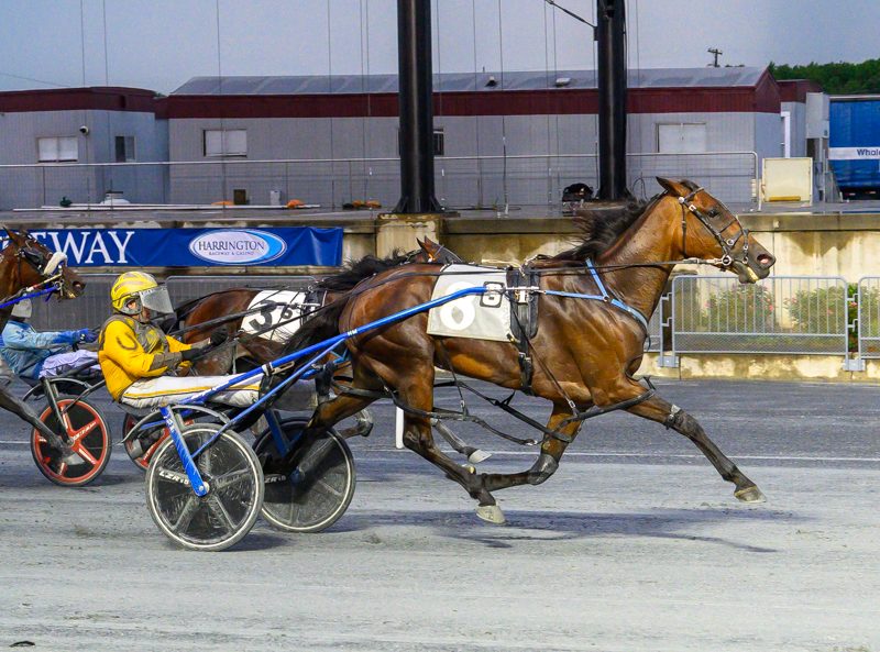 Incaseyoudidntknow impressive in the slop