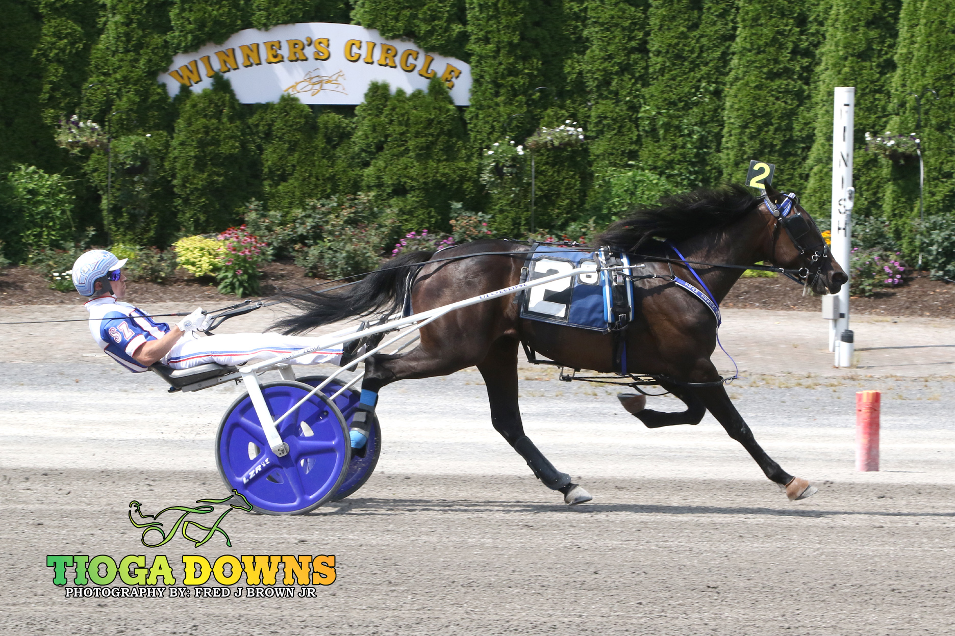 Chapter Seven fillies take both $53,500 NYSS divisions