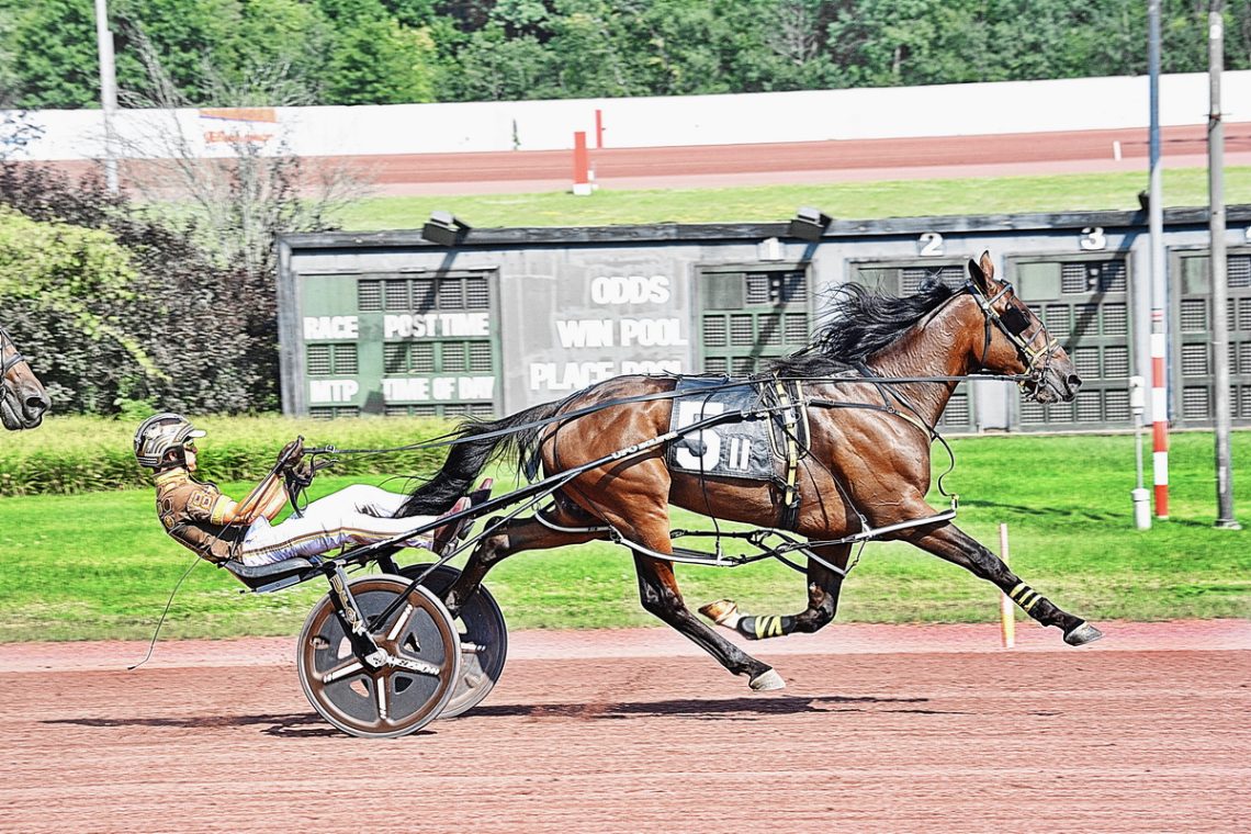 TAYLOR CO-OWNER OF TOP TROT, PACE WINNERS AT POCONO