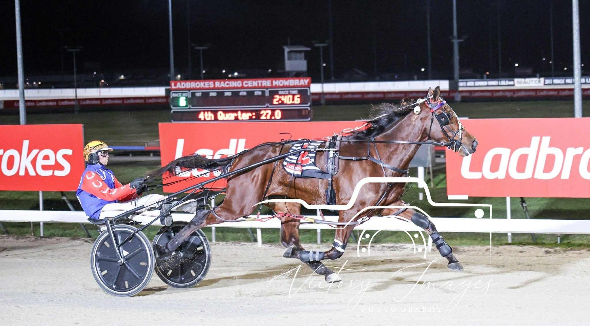 Laugher tasting success in Tassie campaign