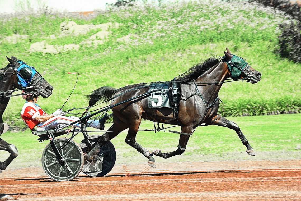 JAS BLUESTONE A WINNER ON POCONO’S 60TH ANNIVERSARY