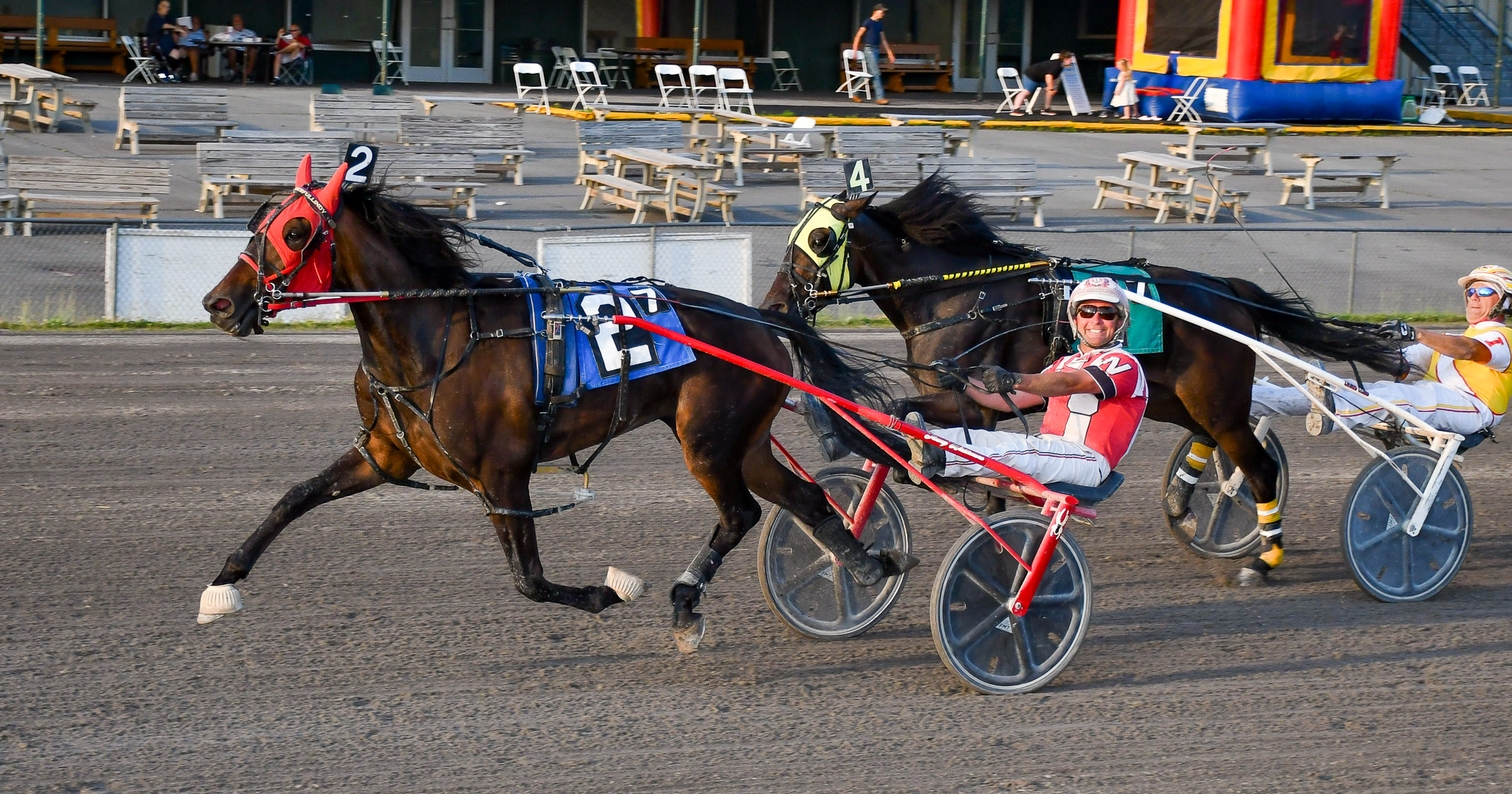 Kadabra mare pounces from pocket