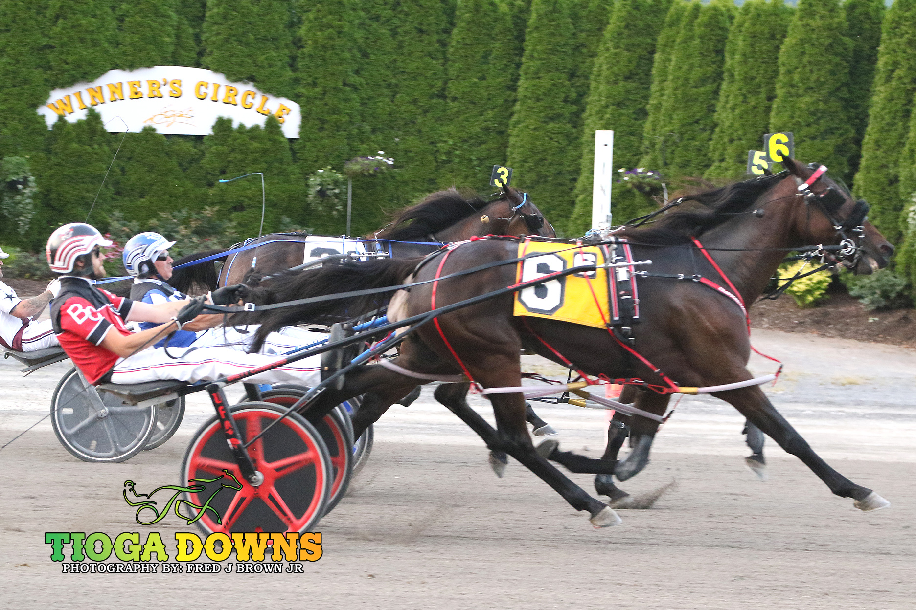 Lady Saturn swoops late to win