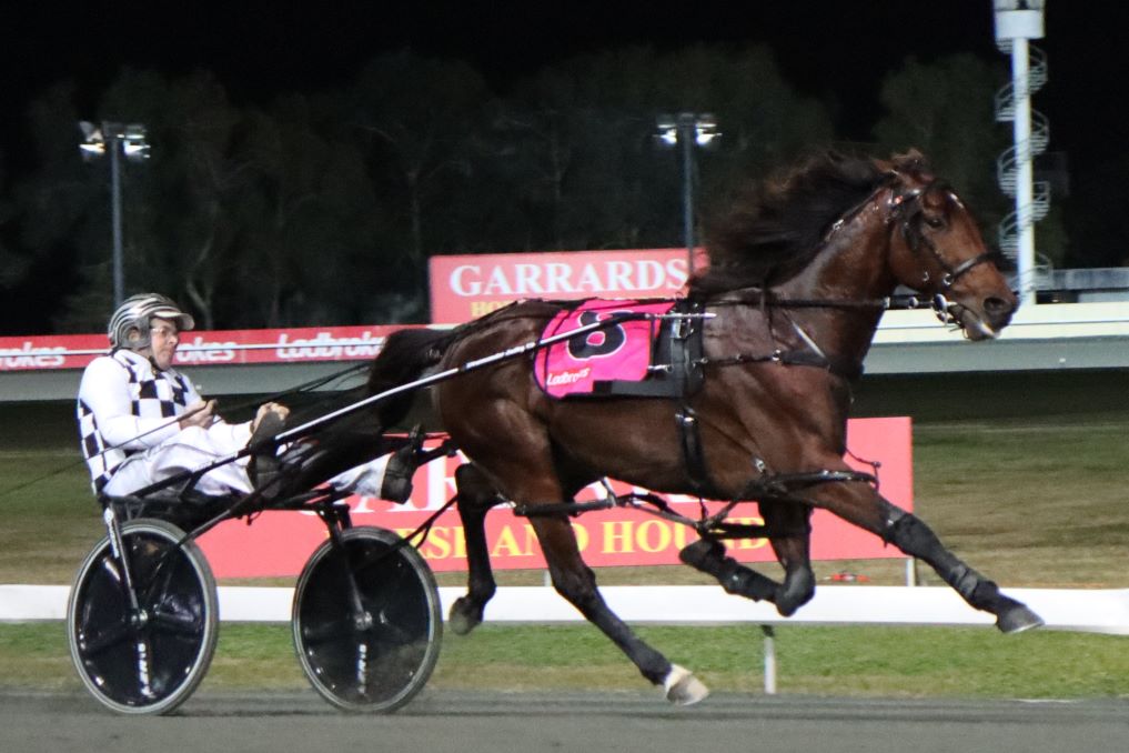 Leap To Fame’s baby sister arrives with immense expectations