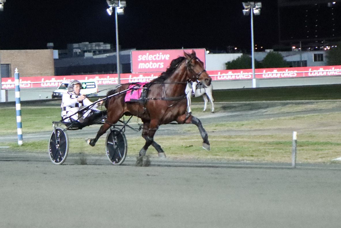 Harnesslink’s Inter Dominion Finals Previews