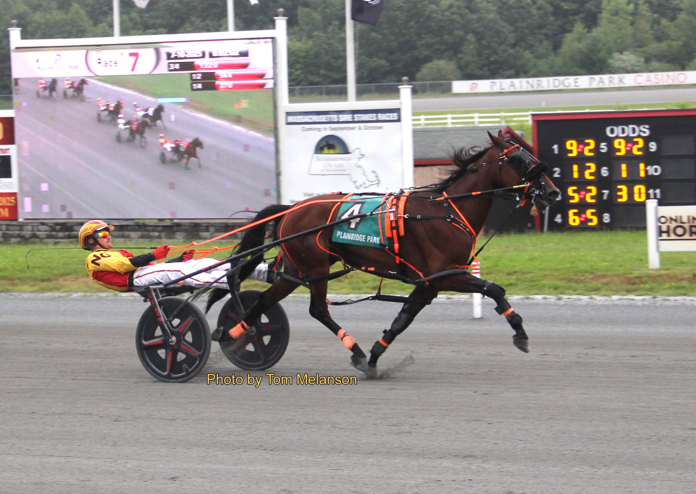 Lazarus gelding scorches a career best 1:49.1