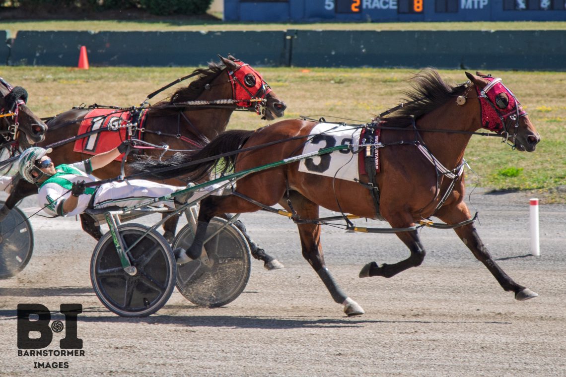 Valentine Express ties mark in Buffalo Open Trot win.