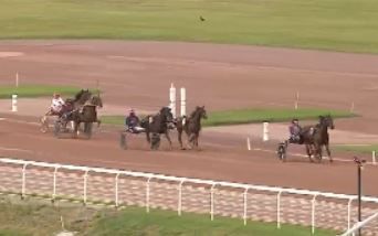 Nitesco de Simm shines at Enghien