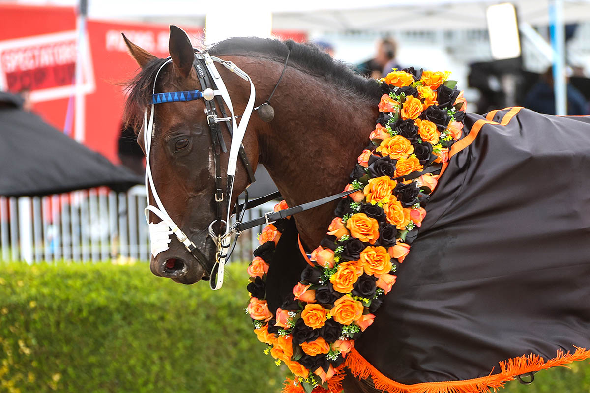 Purdon pair ready for big assignments