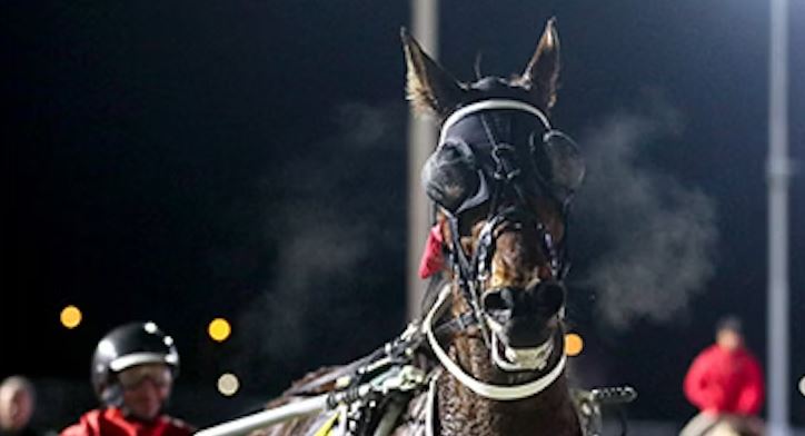 One Over Da Moon mare delivers special win