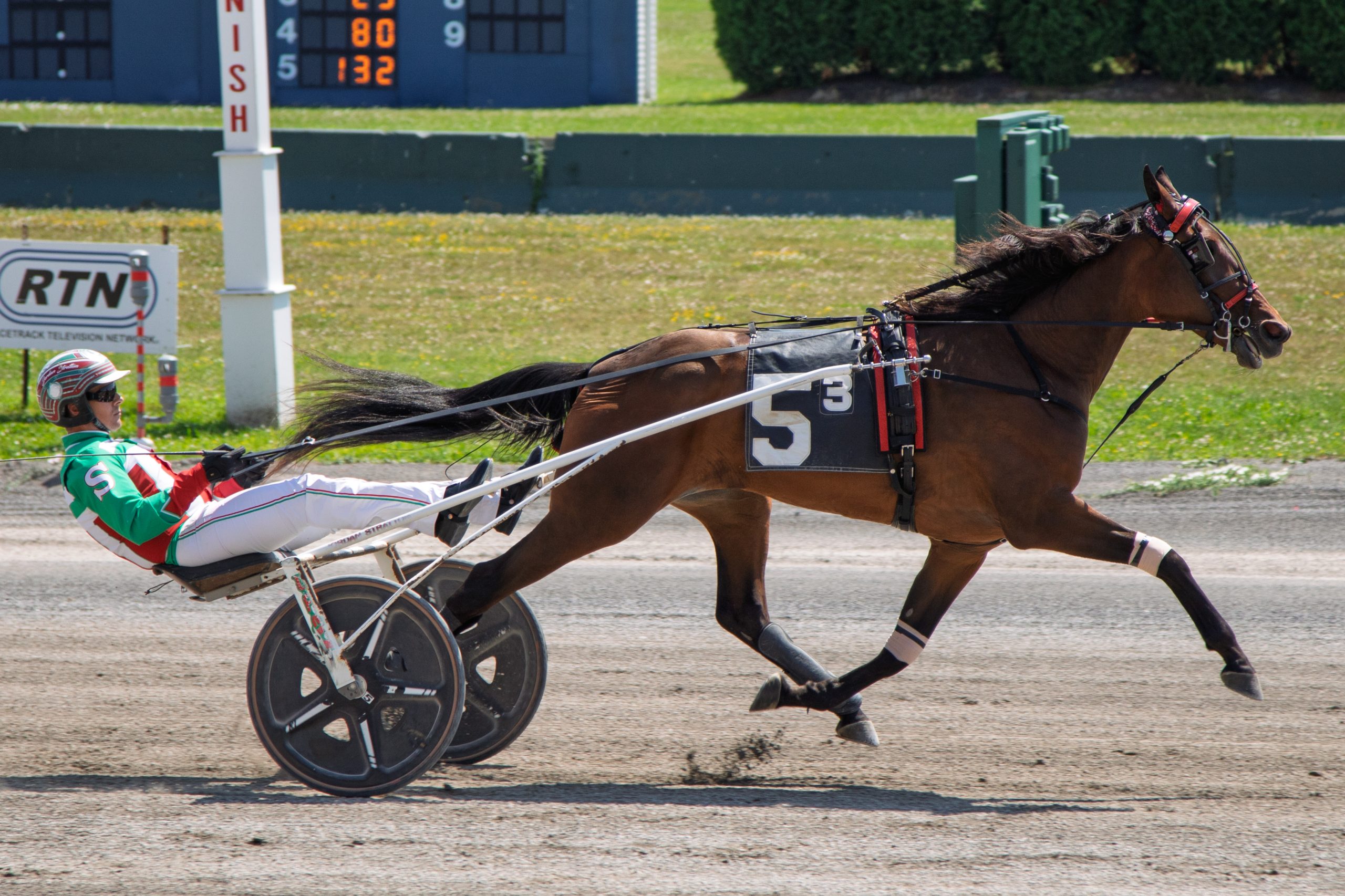Overalls still perfect after $110,200 2yo NYSS win