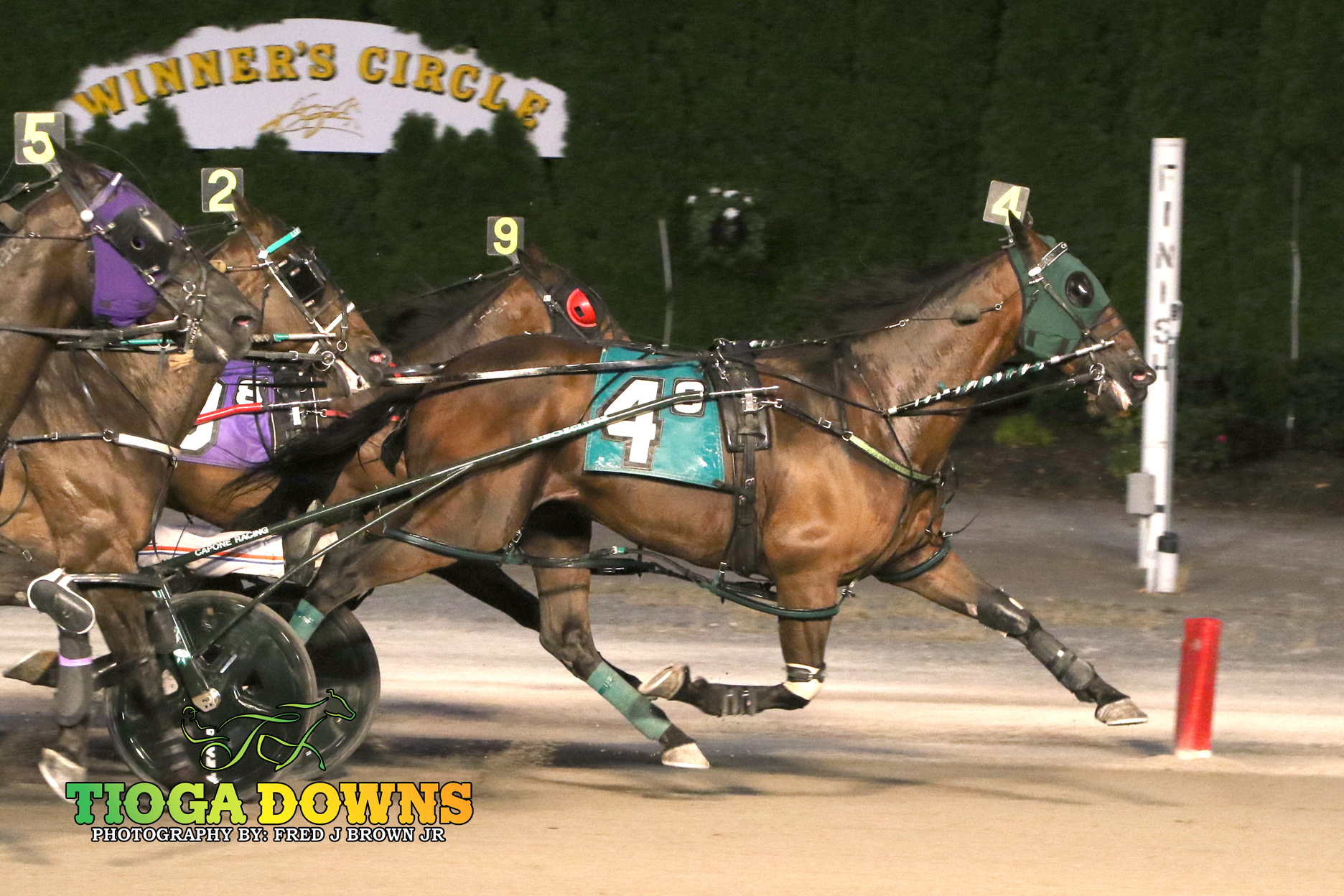 Passa-Grille Beach wins the Jim McDonald Memorial