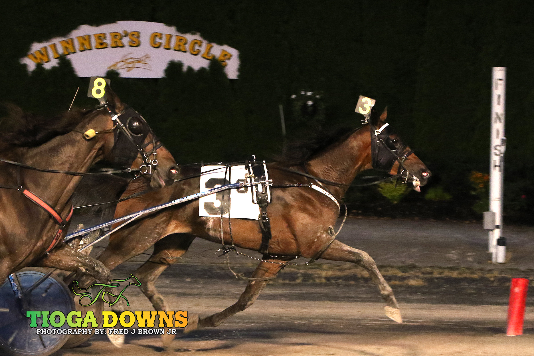 Tactical Landing gelding uses inside to advantage