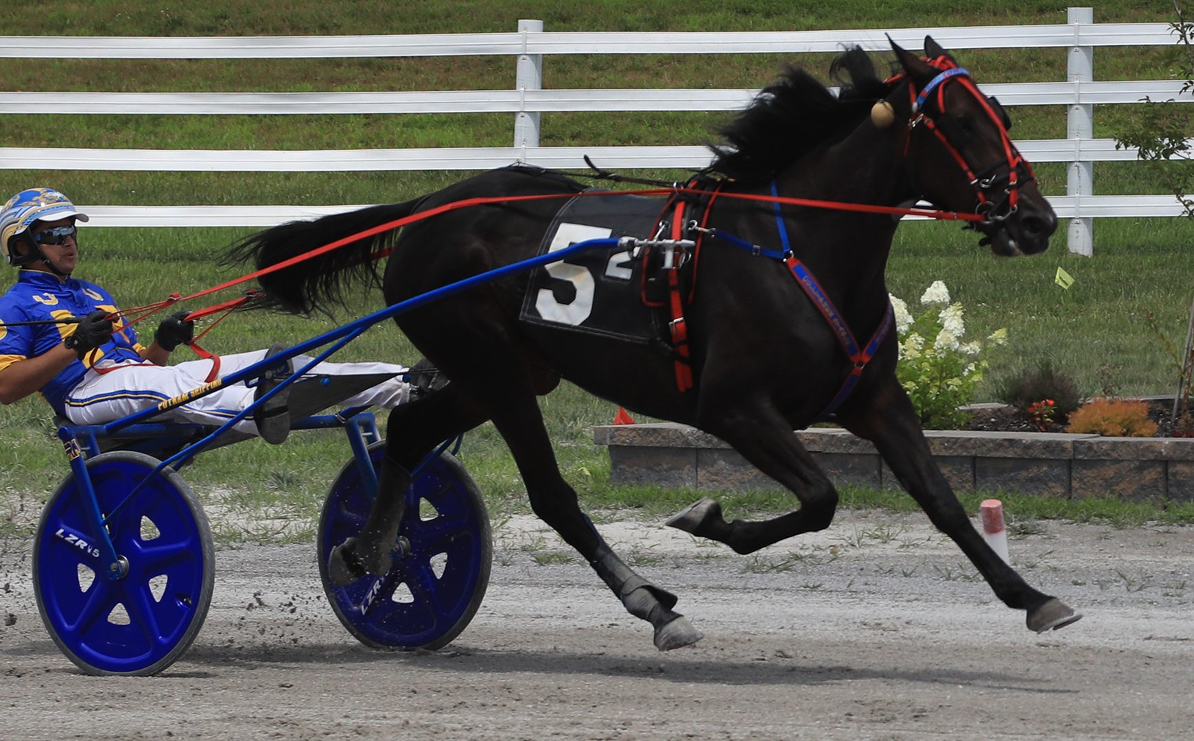 Railee Something zips clear of opposition