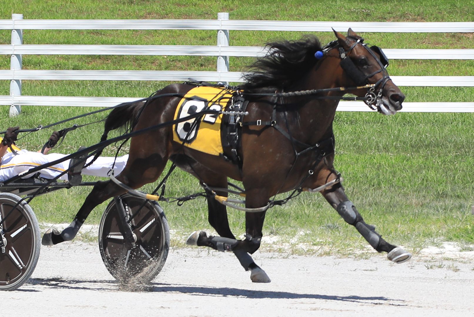Dale Yeah darts to $40,000 victory