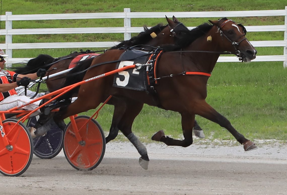 RELEASE: Little Expensive Wins Open Trot; Oak Grove Wraps Record-Breaking Meet