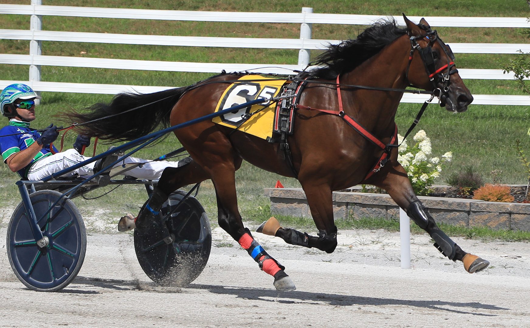 Endurance lowers track record with KYSS win