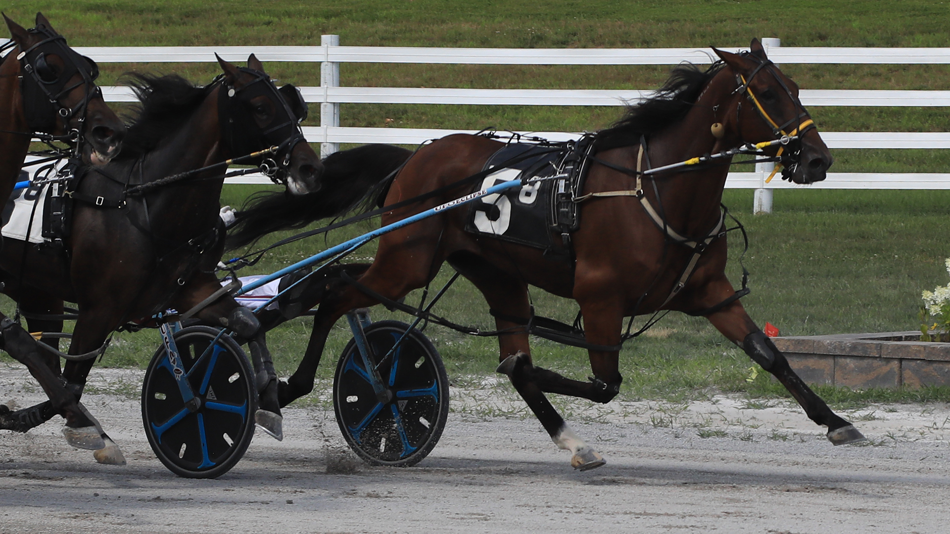 Later Dudes hangs on for Open upset