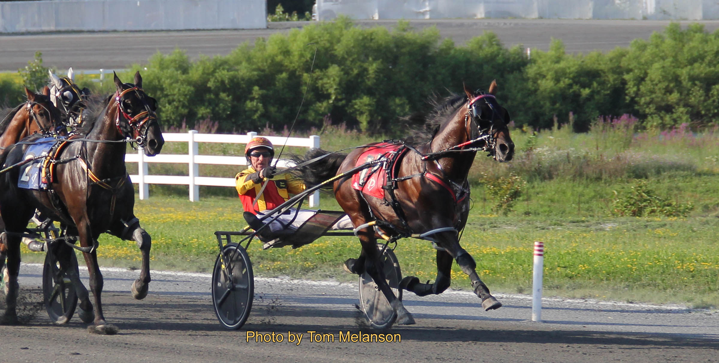 16-1 shot Rockin On Venus wires field