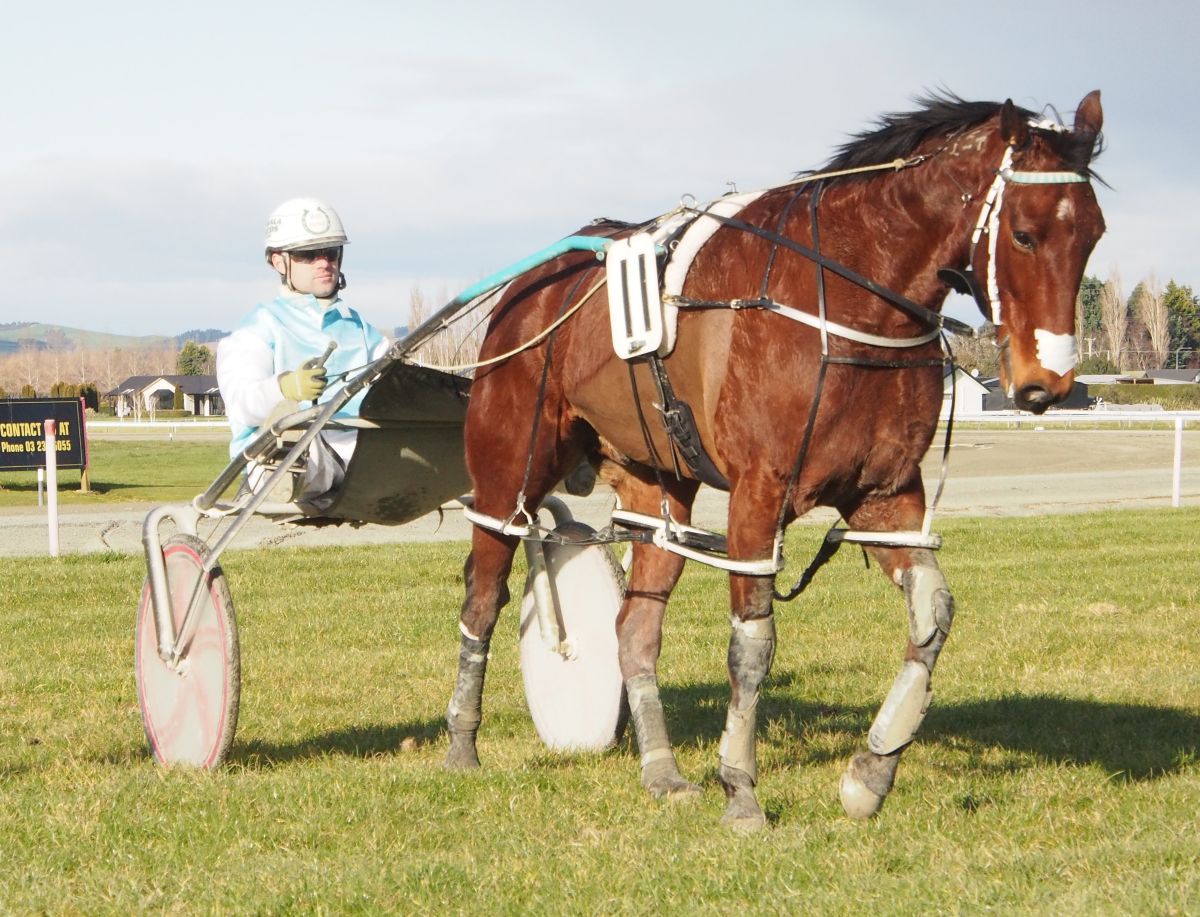 Share A Dream powers home to get Winter Reward