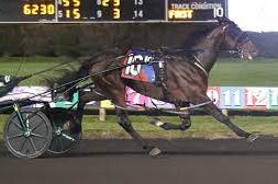 Fast two-year-old winners in America by Tasmanian sire