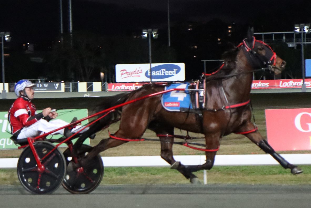 Sure Thing Captain salutes for Queensland