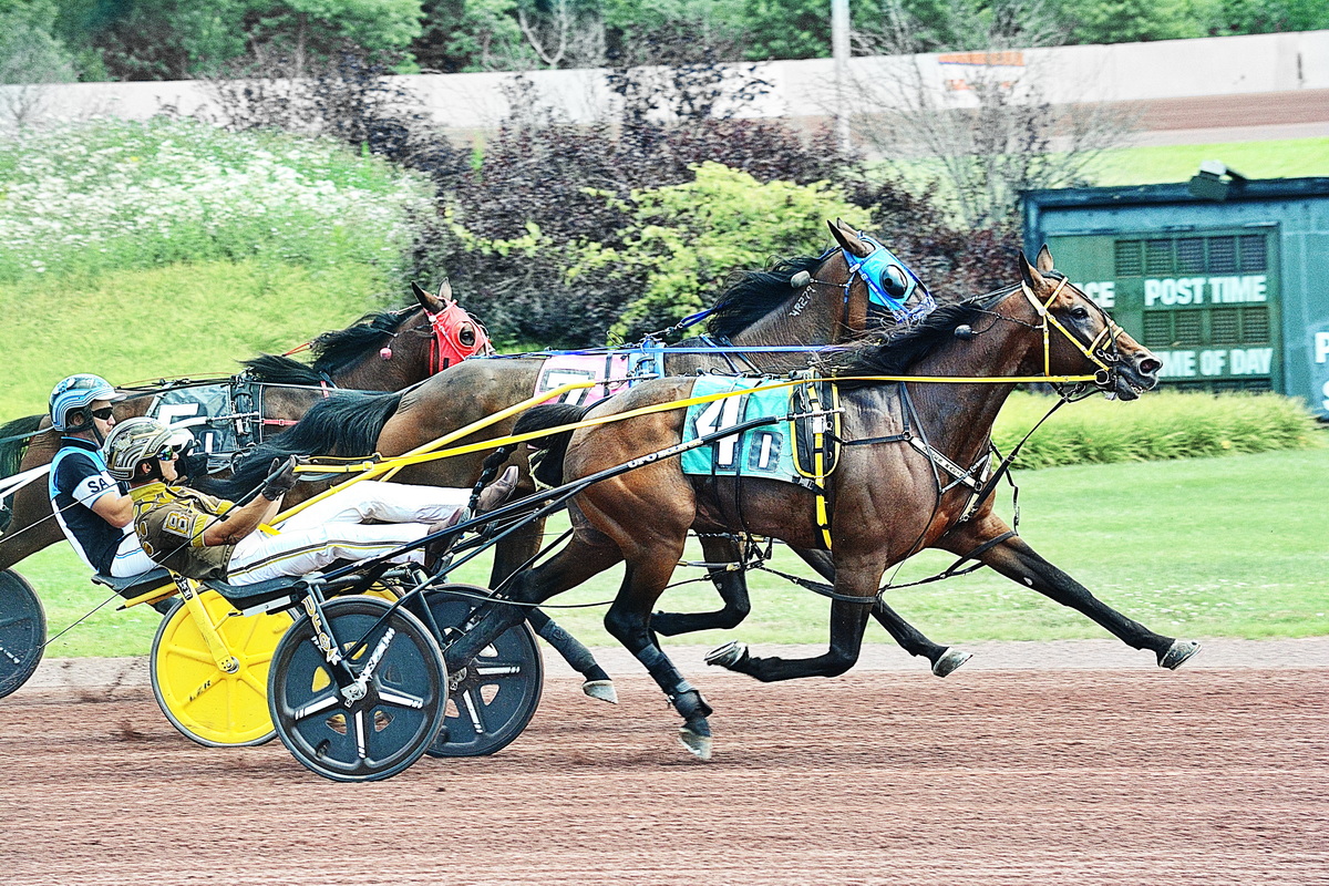 The American Eagle, Dart Guy strike in trotting events