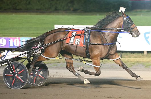 Twin B Joe Fresh repeats in $142,000 Dorothy Haughton