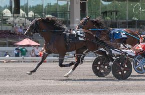 Son of Bettor’s Wish takes Delvin Miller Adios Pace division