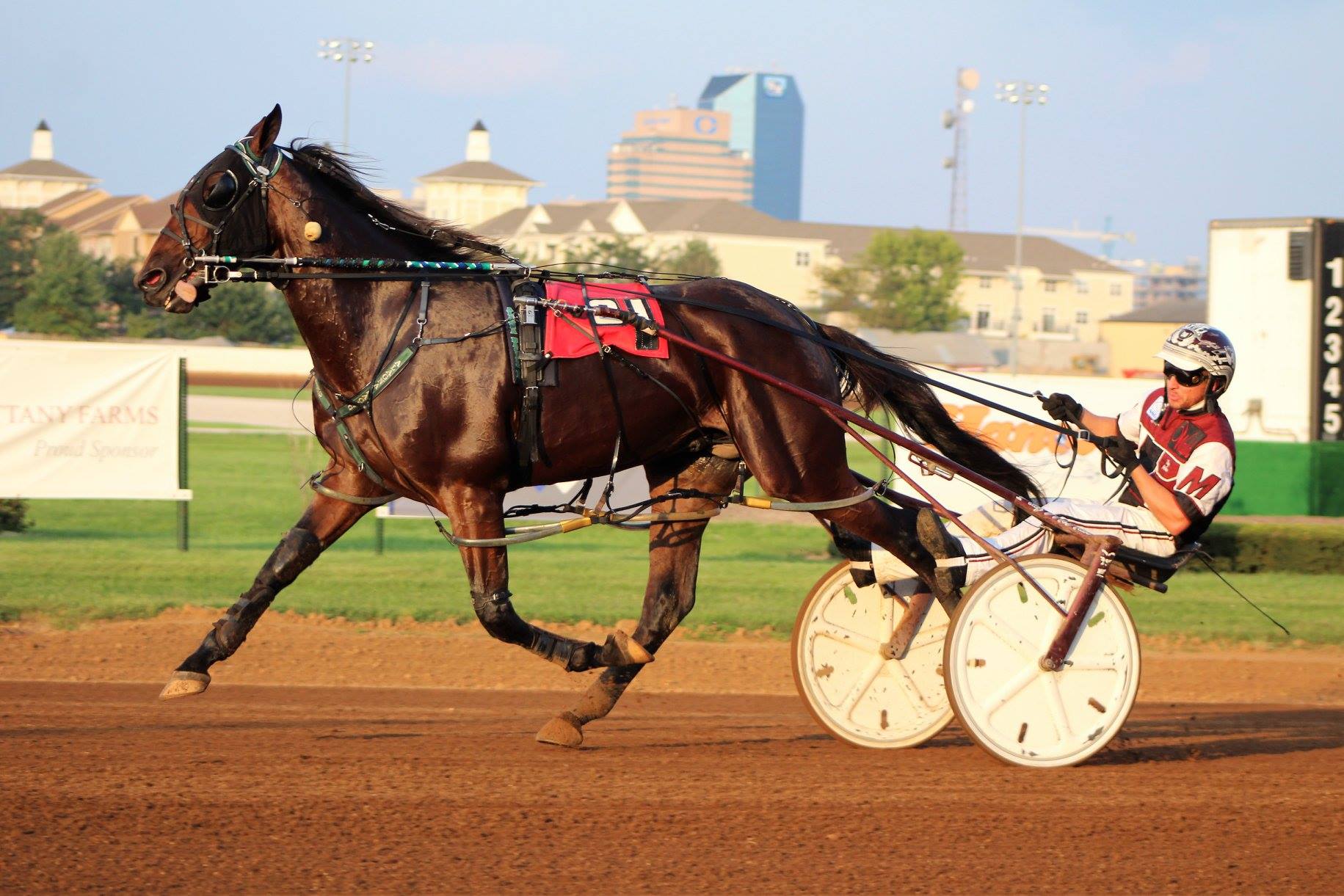 U S Captain… reporting for duty sire!!