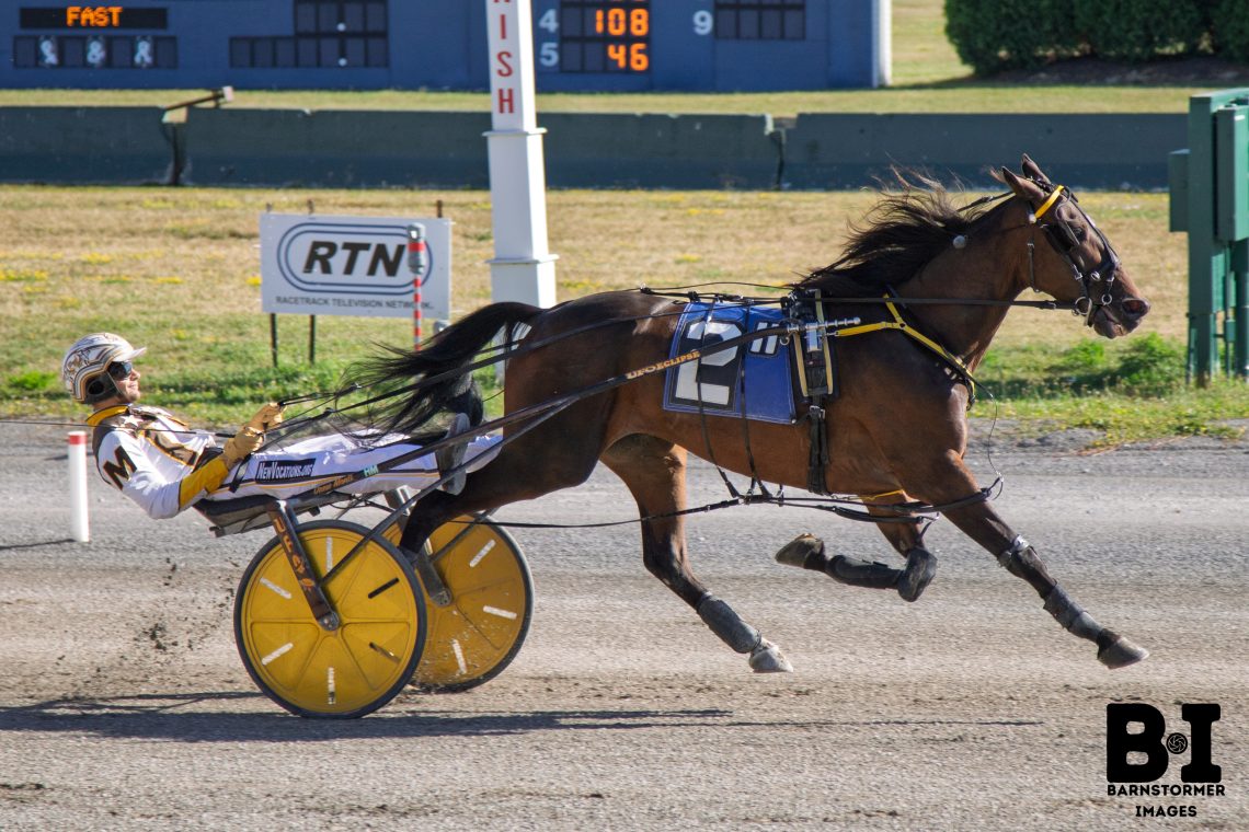 Valentine Express ties mark in Buffalo Open Trot win.