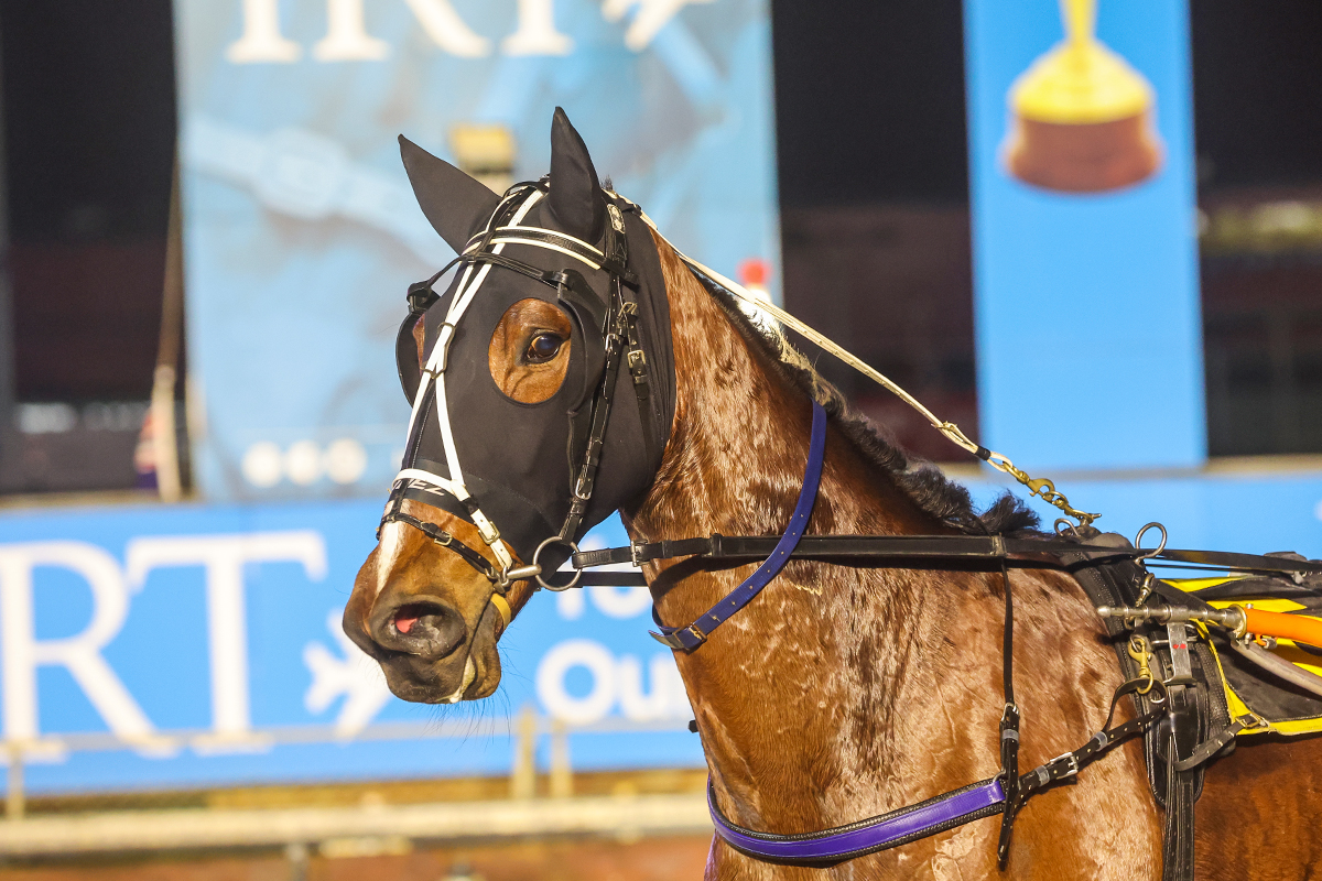 Plenty of puff in the Dragon