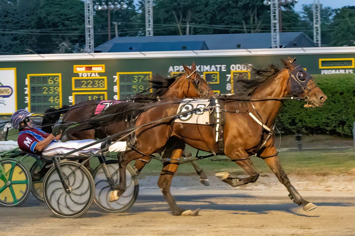 Down-under mares dominate