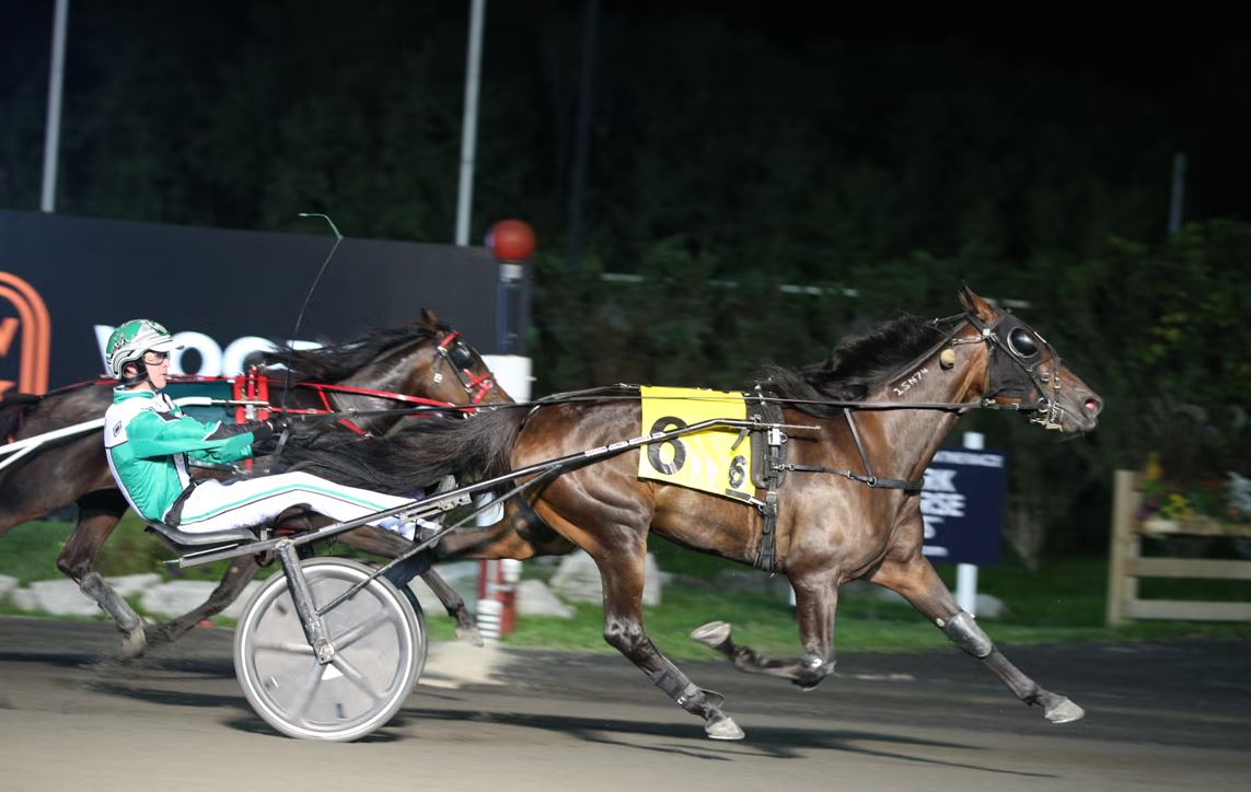 Game Changers – You Will Be Queen