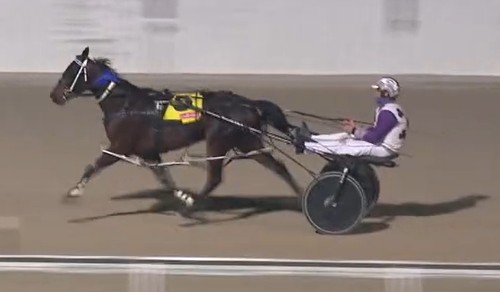 Butler returns home for memorable Raider Stakes victory