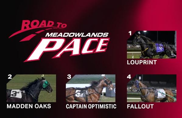 Final edition of Dave Little’s Road to the Meadowlands Pace