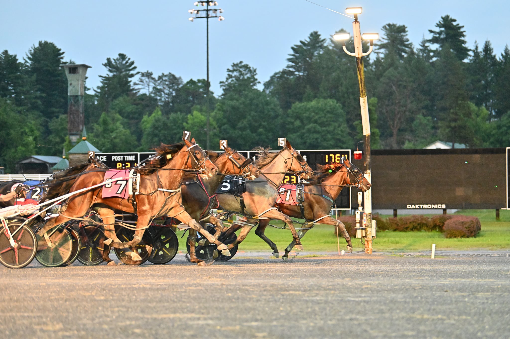 Mrs Cheese springs an upset in $174,000 NYSS
