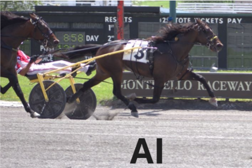 AI looking to extend NYSS streak