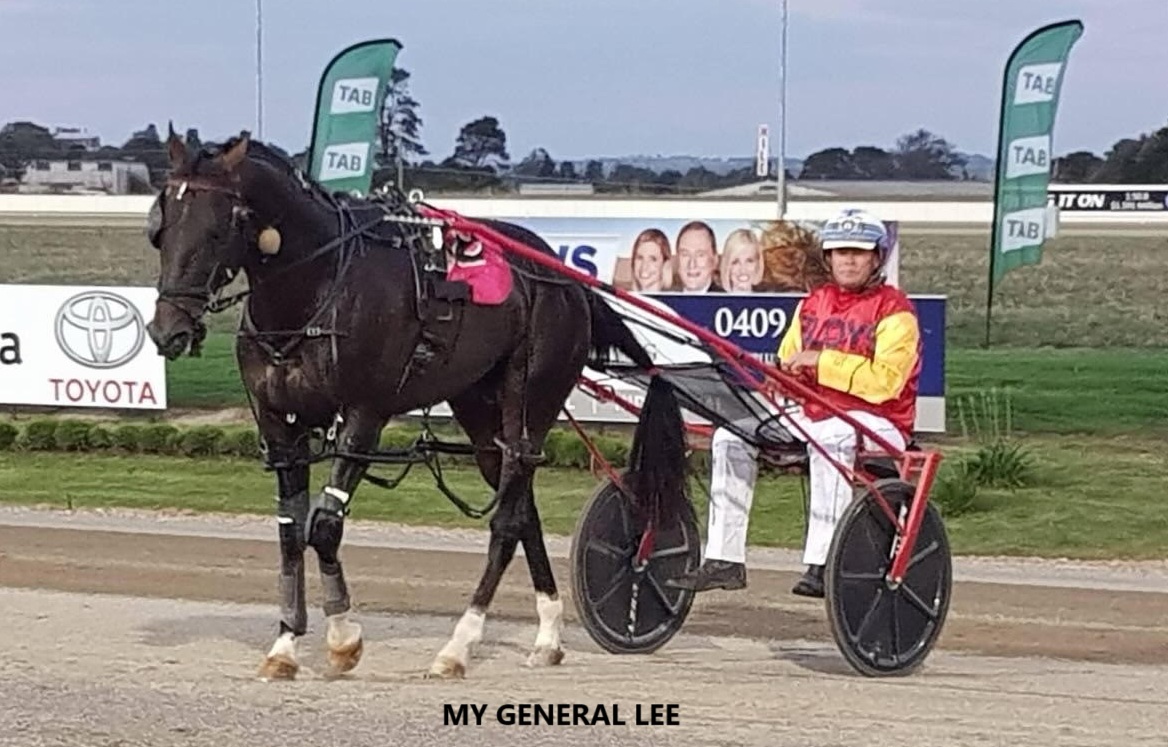 My General Lee stands first season at Bellmoure Park Stud