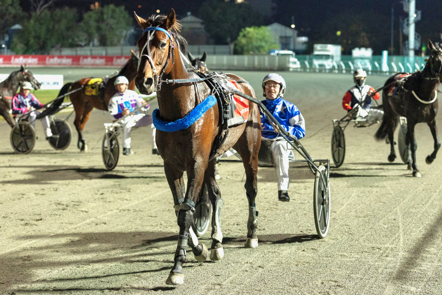 Inter Dominion legend backs Brisbane series home